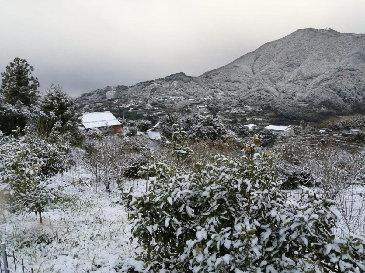 Kumano Kodo Nagano Guesthouse Tanabe Eksteriør billede